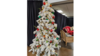 Christmas Tree with White Snow Frost  rental in Denver, CO