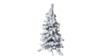 Christmas Tree with White Snow Frost  rental in Denver, CO