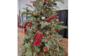 Colorado Blue Spruce Christmas Tree  rental in Denver, CO
