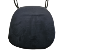 Black Velvet Chair Cushion rental Denver, CO