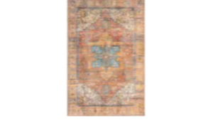 Boho Timeless Rug rental Denver, CO