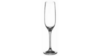 Champagne Flute Glass rental in Denver, CO
