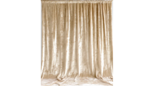 Ivory Velvet Drape 10ft rental Denver, CO