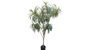 Tropical Dracaena Palm – 6ft Artificial Tree rental Denver, CO