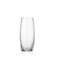 Leona Stemless Champagne Flute 9.1 Oz rental in New York, NY