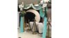 Arches Hawaiian Bamboo Arch rental in Fresno-Armona, CA