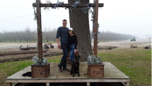 Arches Wood Arch rental Fresno-Armona, CA