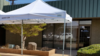 Canopy 10 x 10 White Pop Up rental in Fresno-Armona, CA