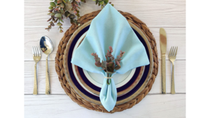 Napkins 20 x 20 Pastel Blue rental Fresno-Armona, CA