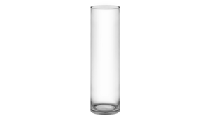 Vase: Glass Cylinder Vase 10" Tall rental N. Virginia-DC, VA