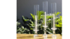 Clear Glass Pillar Holder rental in N. Virginia-DC, VA