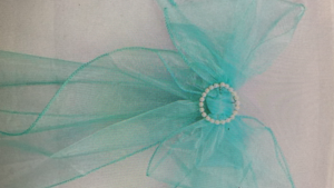 Chair Tie Organza Turquoise rental Fresno-Armona, CA