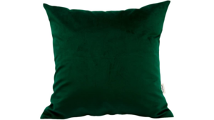 Pine Green Velvet Pillow rental N. Virginia-DC, VA
