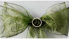 Chair Tie Organza Swirl Olive Willow Green rental in Fresno-Armona, CA