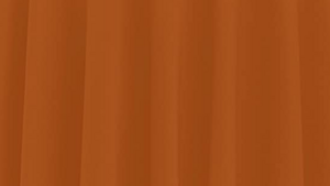 60 x 120 Burnt Orange rental Fresno-Armona, CA