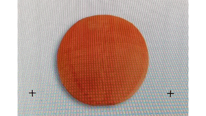 Nylon 12" Lantern Orange rental Fresno-Armona, CA