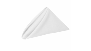 Napkin: 20"x20" - White rental N. Virginia-DC, VA