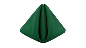 Napkin: 20"x20"- Hunter rental N. Virginia-DC, VA