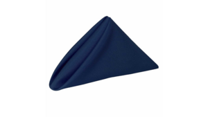 Napkin: 20"x20" - Navy Blue rental N. Virginia-DC, VA