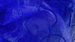 Pipe and Drape Royal Blue 10 ft. rental Fresno-Armona, CA