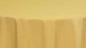 Dupioni Linen: 15″ x 120″ Runner - Gold rental N. Virginia-DC, VA