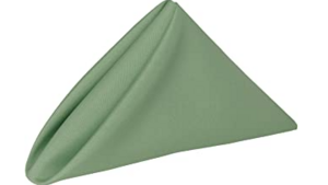 Napkin: 20"x20"- Sage rental N. Virginia-DC, VA