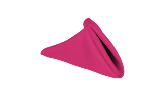 Napkin: 20"x20"- Hot Pink/Fuschia rental N. Virginia-DC, VA