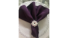 Napkins 20 x 20 Eggplant rental in Fresno-Armona, CA