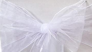 Sash Organza - White rental N. Virginia-DC, VA