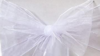Sash Organza - White rental in N. Virginia-DC, VA