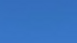 60 x 120 Royal Blue rental Fresno-Armona, CA