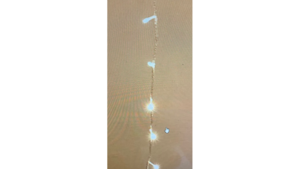 Warm Twinkle Lights Battery operated rental Fresno-Armona, CA