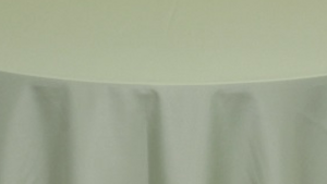 Sash Organza - Sage rental N. Virginia-DC, VA