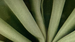 Napkin 20 x 20 Eucalyptus Olive Green rental Fresno-Armona, CA