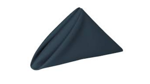 Napkin: 20"x20" - Wedgewood Blue rental N. Virginia-DC, VA