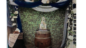 Arch- Trellis 3-piece grape vine and grape leaves rental Fresno-Armona, CA