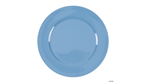 Charger: Dusty Blue 13" diam rental N. Virginia-DC, VA