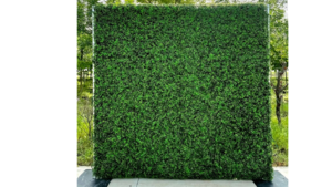 Backdrop: 8ft Tall x 8 ft Wide Boxwood Wall rental N. Virginia-DC, VA