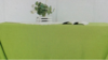 90 x 156 Table Drape Neon Green rental in Fresno-Armona, CA