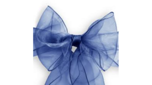 Polyester Sash - Navy rental N. Virginia-DC, VA