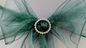 Chair Tie Organza Hunter Green rental Fresno-Armona, CA