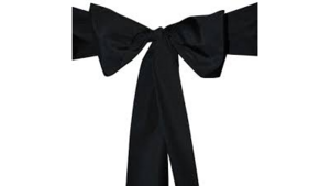 Sash - Black rental N. Virginia-DC, VA