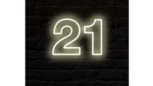 Neon Sign: "21" rental N. Virginia-DC, VA