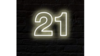 Neon Sign: "21" rental in N. Virginia-DC, VA