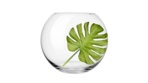 Vase - Bubble Bowl 12 inch rental Fresno-Armona, CA