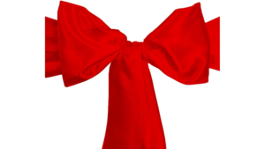 Sash - Red rental N. Virginia-DC, VA