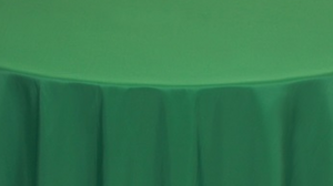 Napkin: 20"x20"- Moss rental N. Virginia-DC, VA