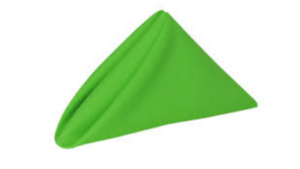 Napkin: 20"x20"- Kelly Green rental N. Virginia-DC, VA