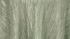 90 x 156 Table Drape Tafetta Sage Green Crinkle rental in Fresno-Armona, CA