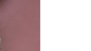 120 Round Mauve/Dusty Rose rental Fresno-Armona, CA